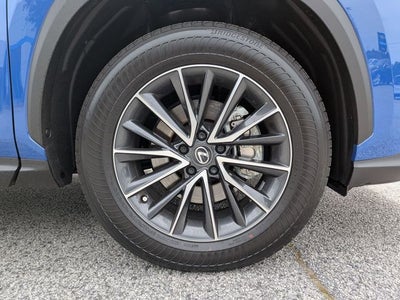 2025 Lexus NX 250 Premium