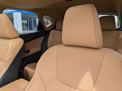 2025 Lexus NX 250 Premium