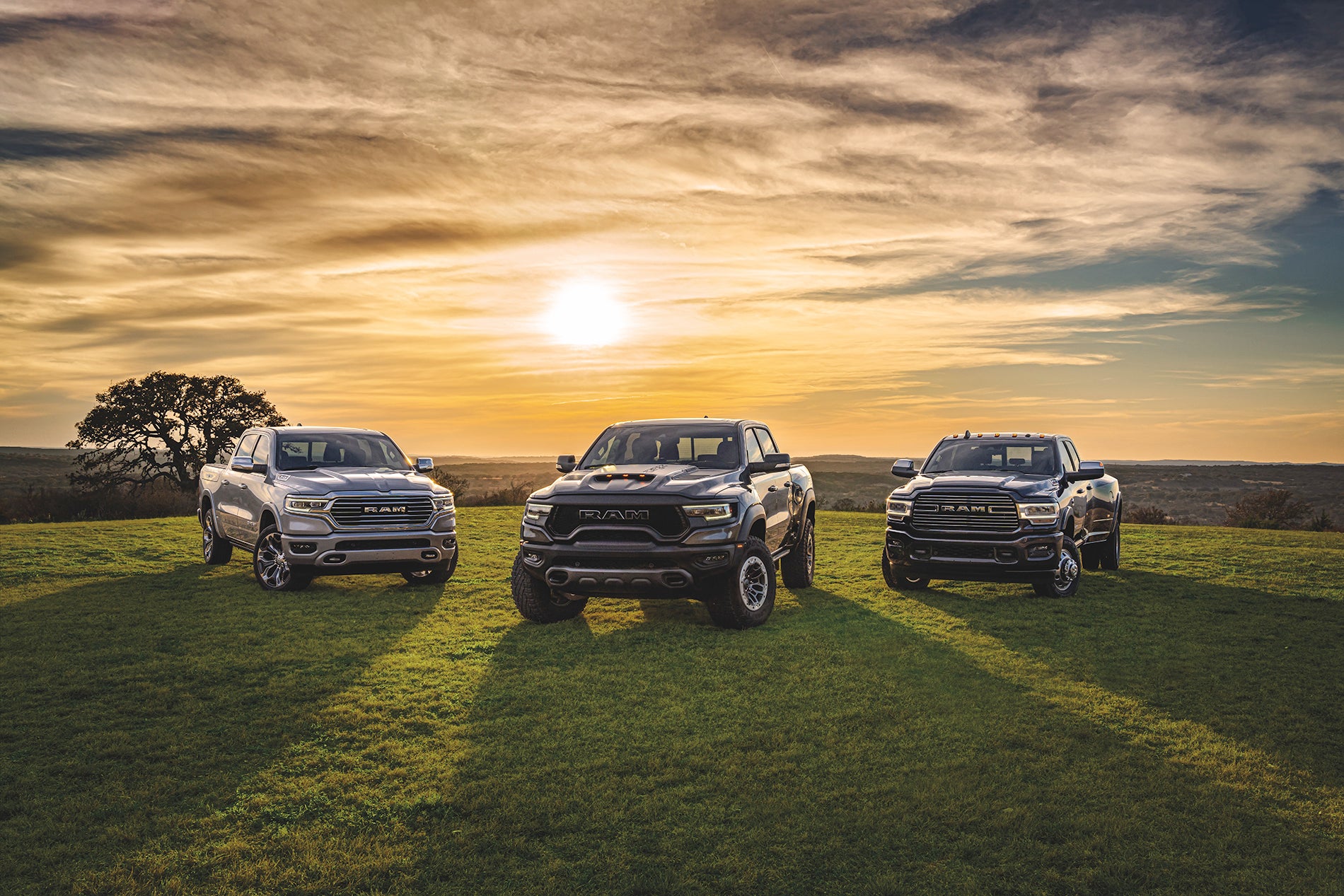 Lineup of used Ram trucks for sale near Columbia, SC